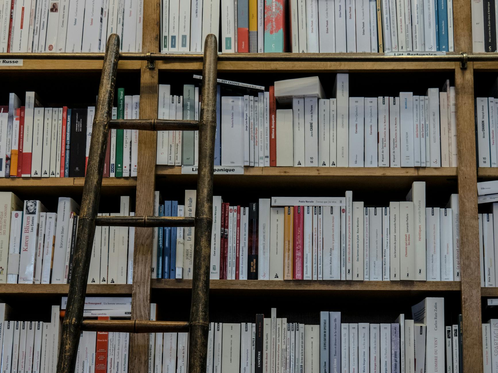Brown Holzleiter Auf Brown Holz Bücherregal
