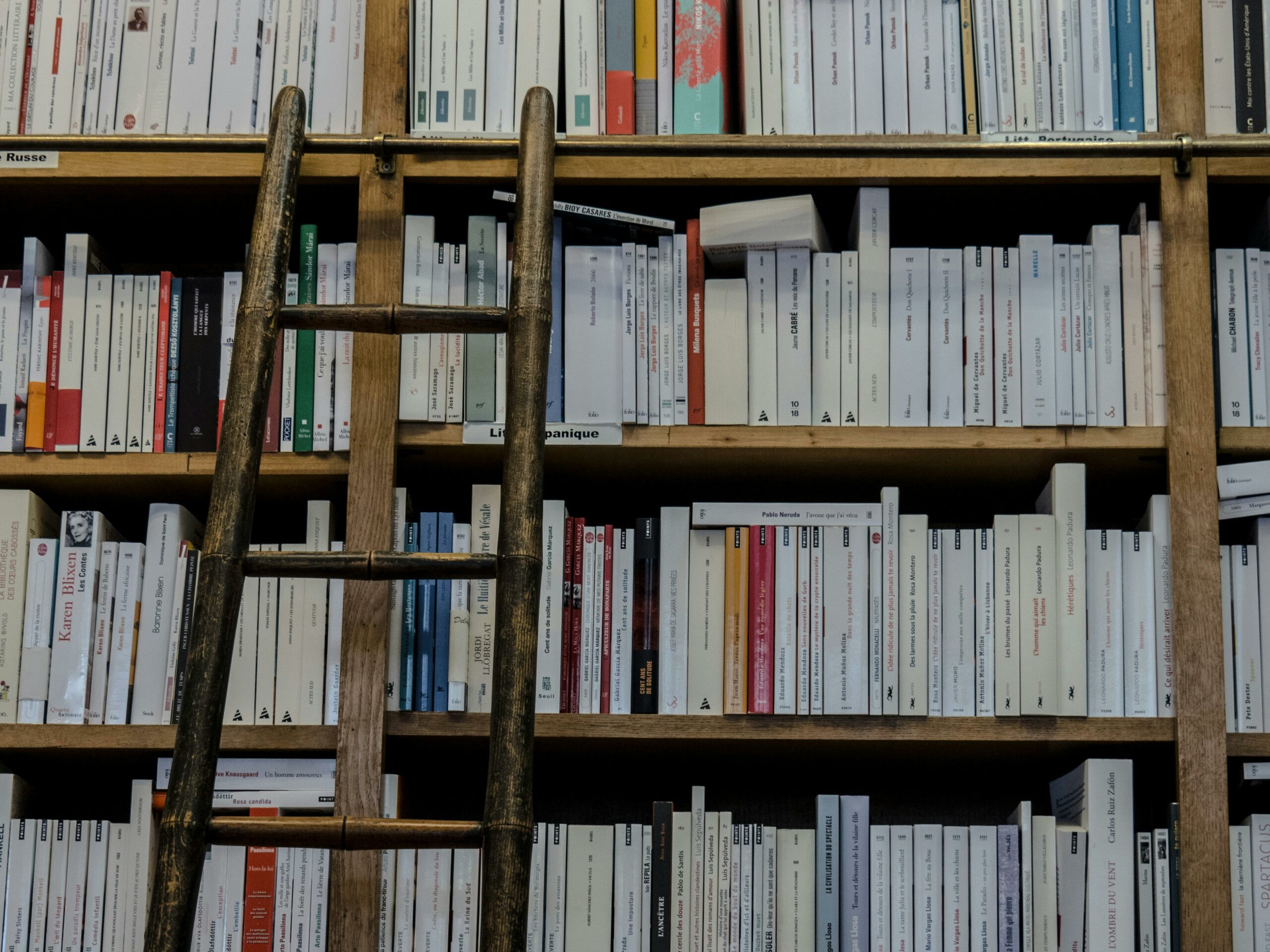 Brown Holzleiter Auf Brown Holz Bücherregal